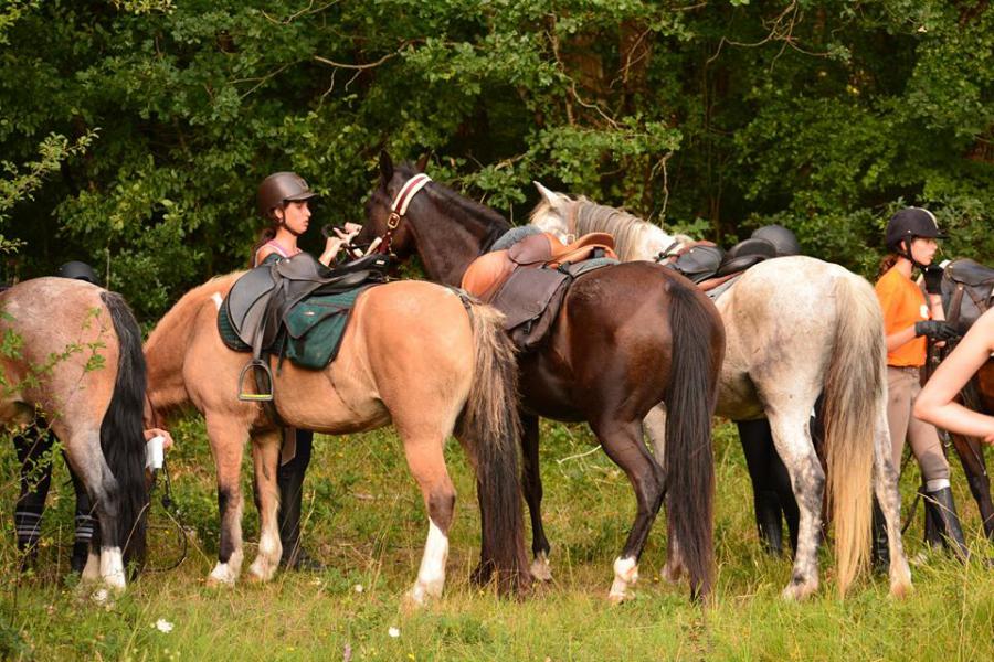 Centre Equestre Equipia à Saint-Ciers d’Abzac en Gironde 33
