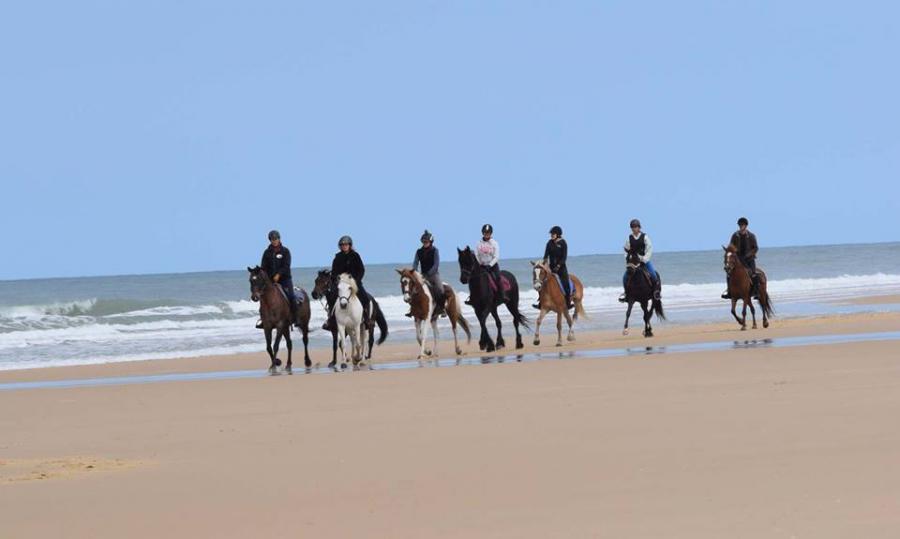 Centre Equestre Equipia à Saint-Ciers d’Abzac en Gironde 33